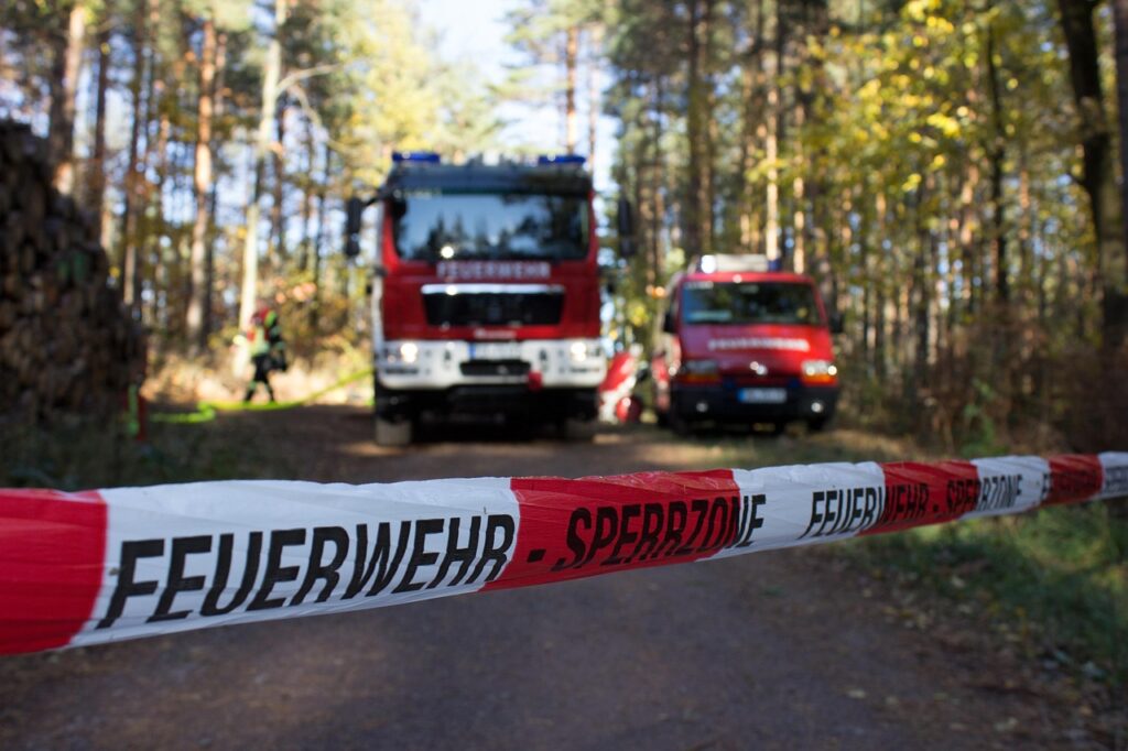 fire fighters, nature, forest, forest fire, fire truck, blue light